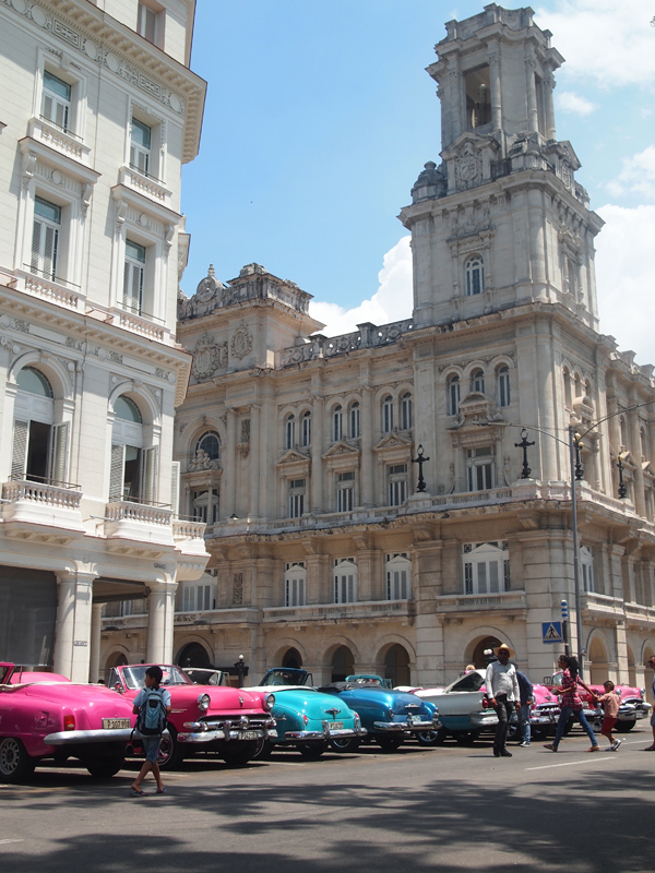 P8147230.jpg