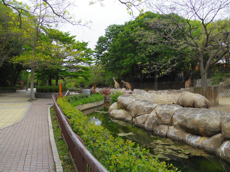 IMGP7862.jpg